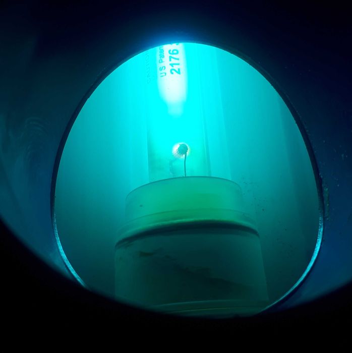 Lampa bakteriobójcza do basenu Blue Lagoon UV-C 40W