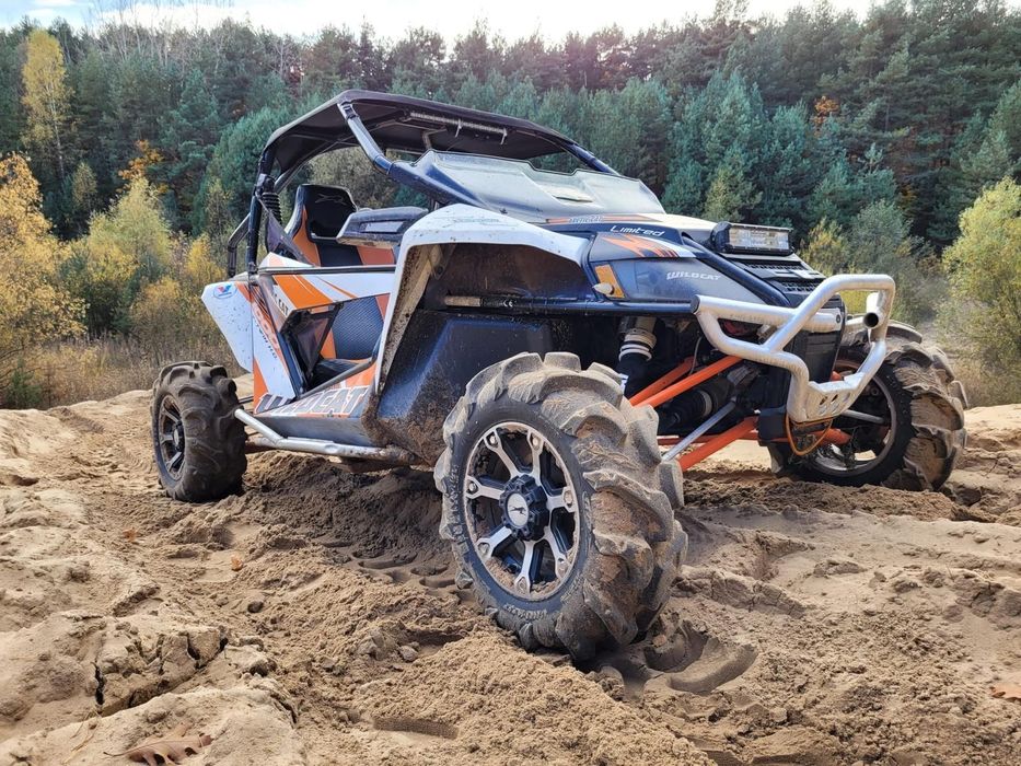 Arctic Cat