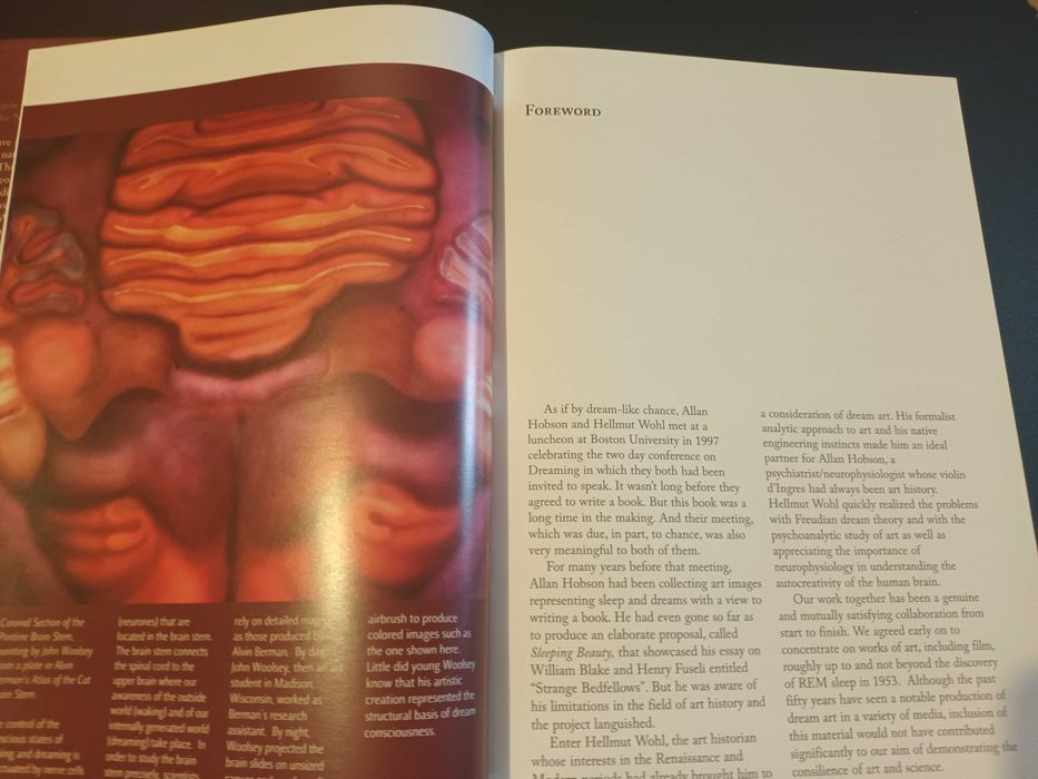 "From Angels to Neurones" por J. Allan Hobson e Hellmut Wohl