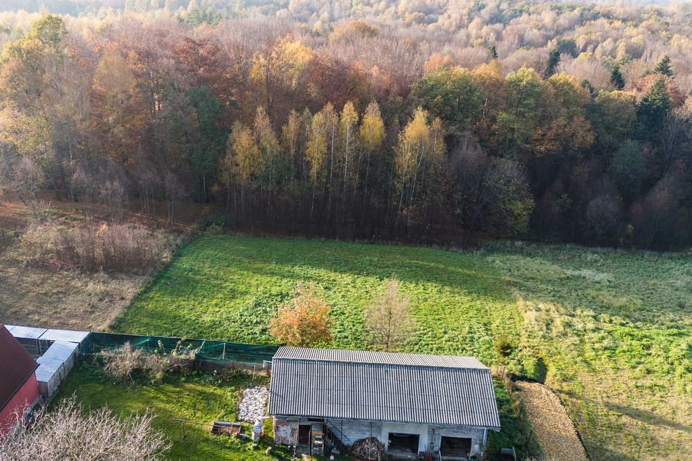Pisarzowice, działka, 3091 m², budowlana, MPZP
