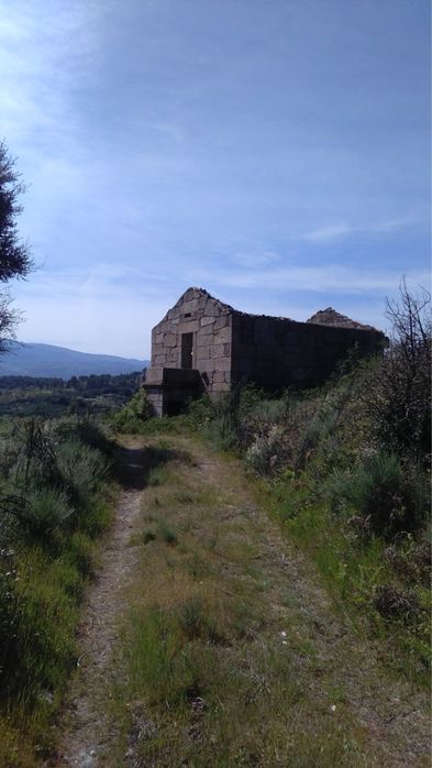Arrenda-se Quinta Exclusiva 25ha | 1km margem de Rio Mondego