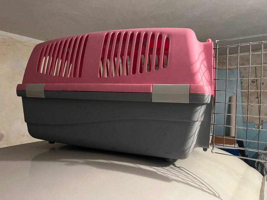 Transportadora de Cães (Box)