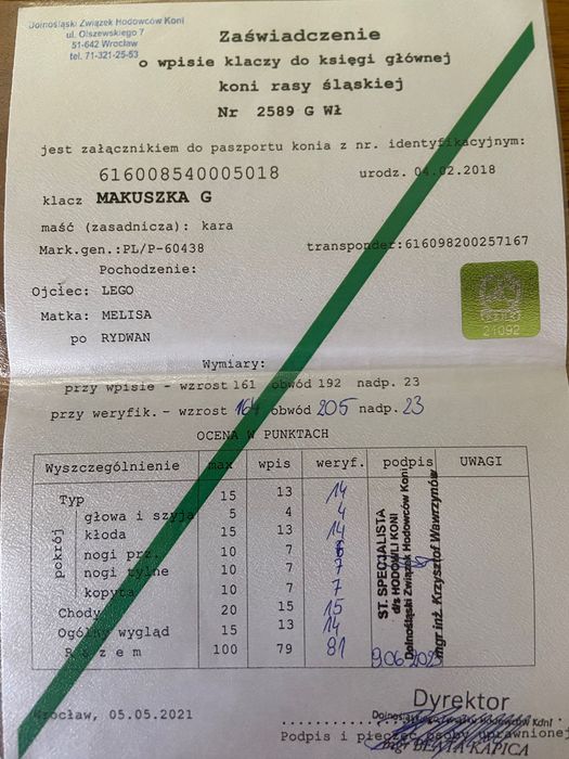 Sprzedam Klacz Śląską