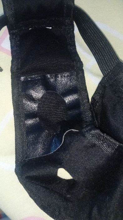 Cueca protetora para cadela em cio