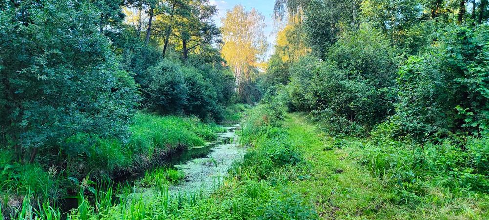 Urokliwa Działka z Domem na Sprzedaż