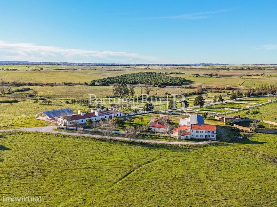 Herdade com 960 hectares na região de Évora