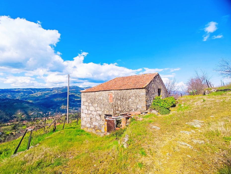Quinta 7400m2 em Resende com vista para Rio Douro