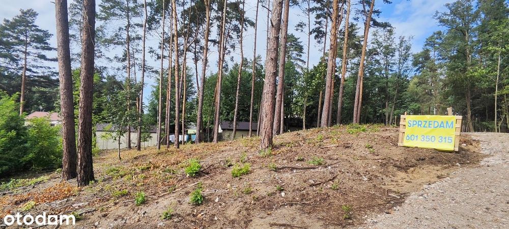 Działka budowlana 894m2 pod 4 domki letniskowe Wieleń OKAZJA