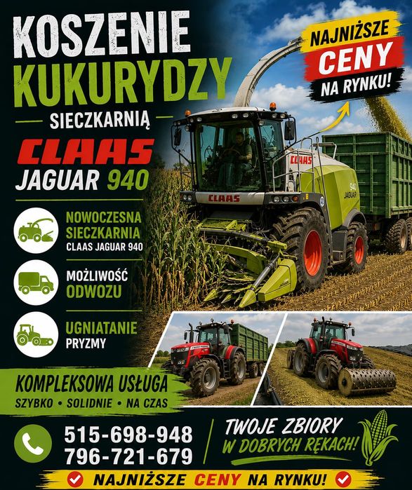 Usluga koszenia kukurydzy na kiszonkę