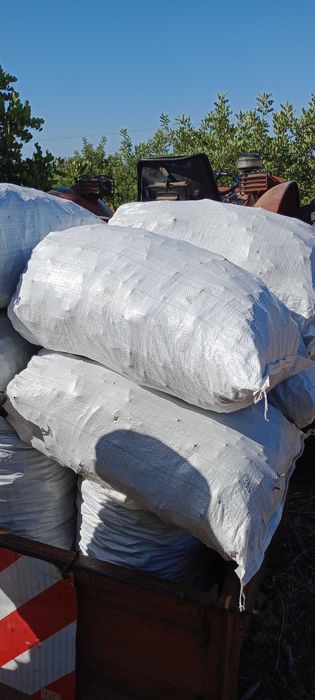 Alfarroba do Algarve