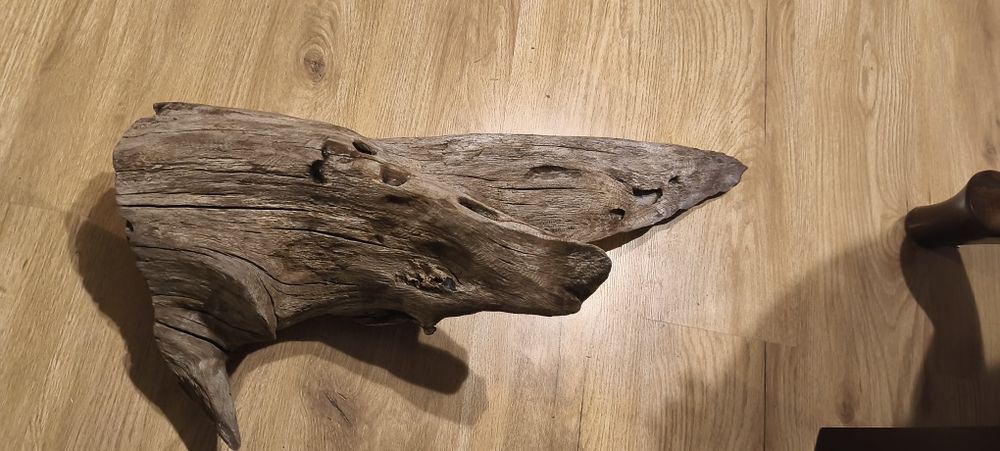 Korzeń dębowy do akwarium