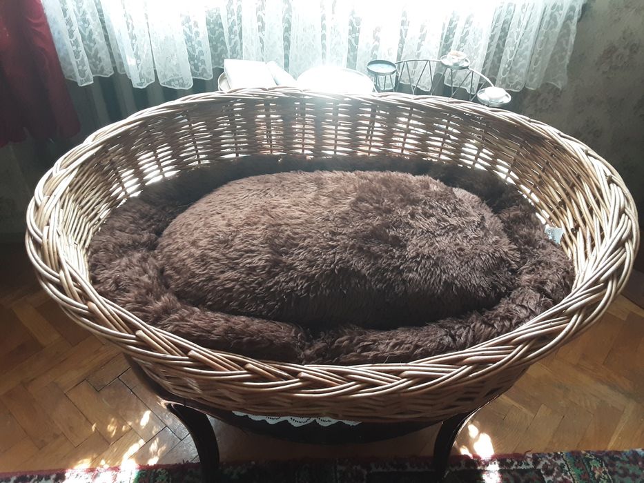 Legowisko wiklinowe dla psa