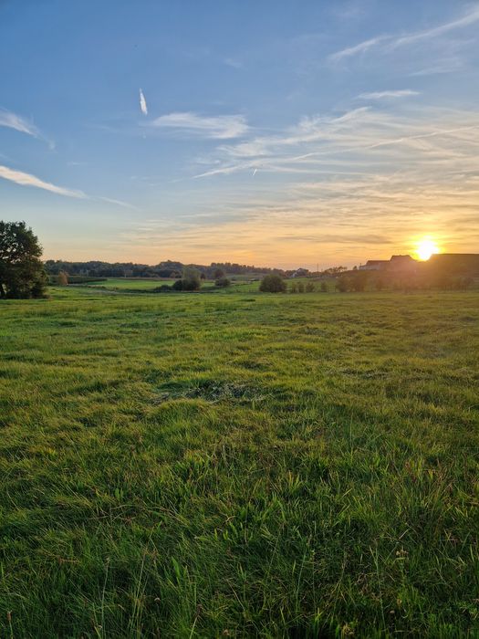 Działki budowlane Sikory, gmina CZAPLINEK obok jeziora Komorze - Widok 2