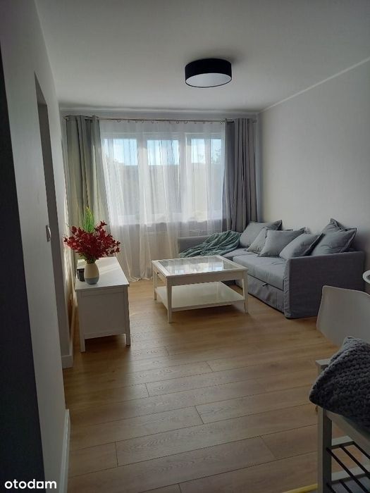 2 Pokoje 34 M²|Vis-A-Vis Ump|Balkon|Parking I Piwnica W Cenie|Zadbane