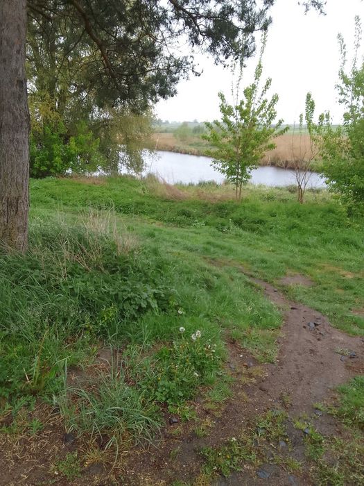 Продається будинок в с. Великий Житин