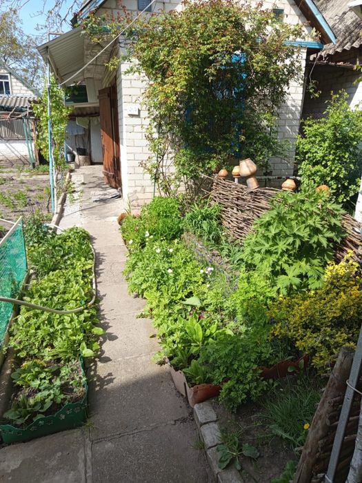 Дача з грубою, великим каміном та банею