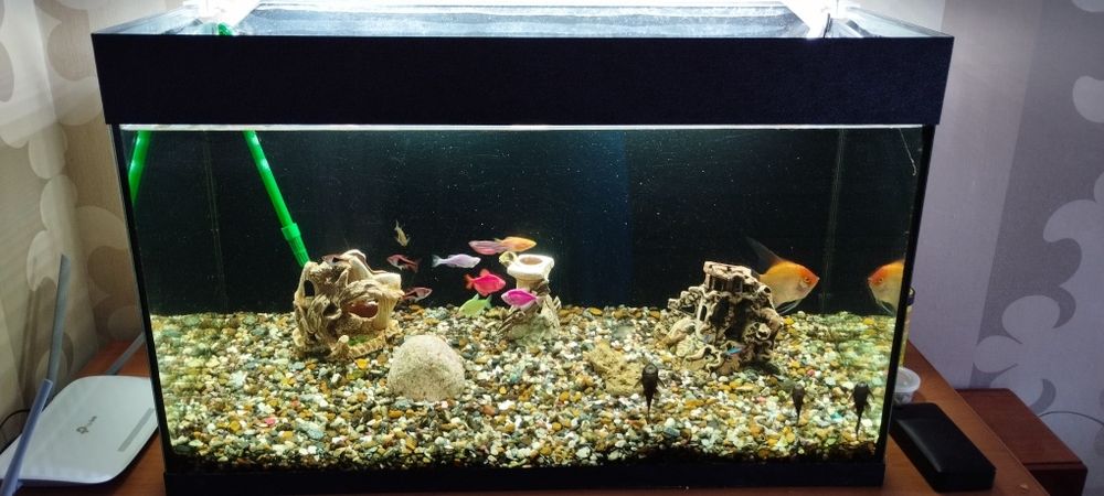 Акваріум б/у на 140 л + лампа