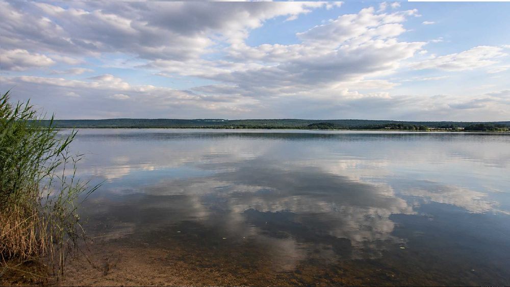 ЗЕМЕЛЬНА ДІЛЯНКА біля Києва з виходом на річку на воду вихід до Дніпра  12 сот. біля води  50 хв від Києва недорого краєвид Бориспільський рн