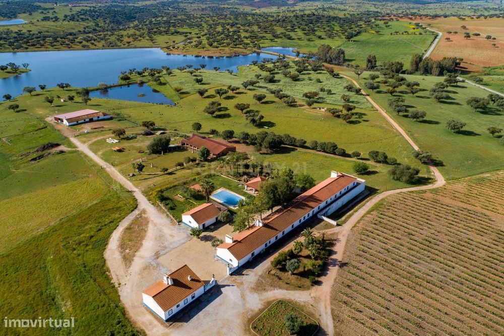 Herdade de 190 Hectares (16 Hectares de Vinha) a 10 km do lago de Alqu