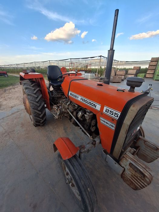Massey Ferguson 255