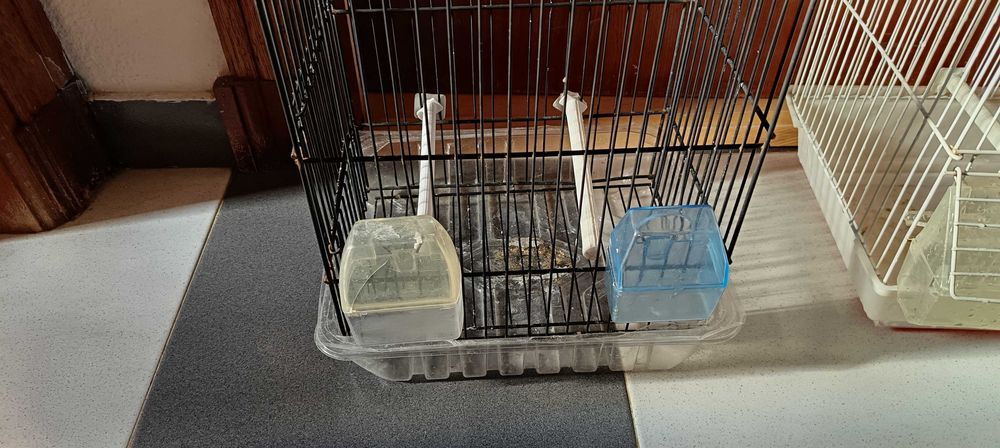 Lot de acecorios para canarios