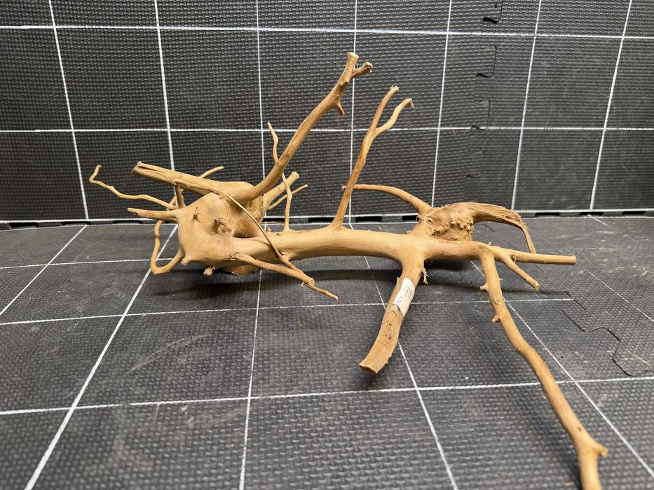 Korzeń red moor wood n-240