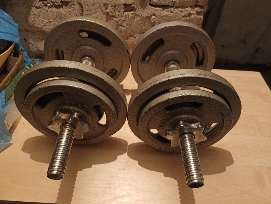 Hantle żeliwne 2x10 kg