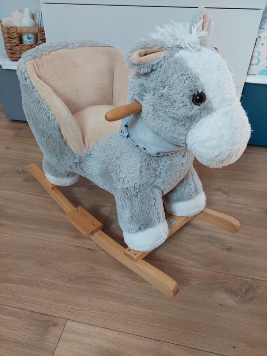Konik na biegunach