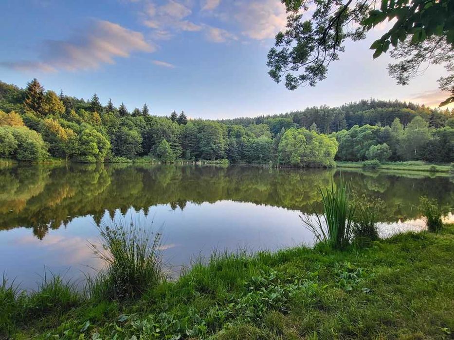 FERIE! Zieleniec!  DOM z prywatnym LASEM na wyłączność