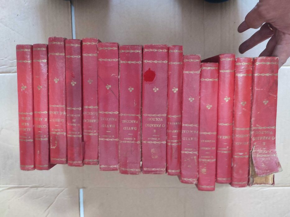 Literatura Portuguesa - 14 Volume de Manuel de Campos Pereira