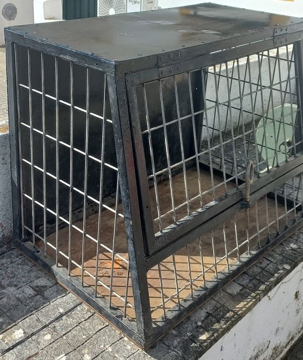 Caixa para transporte de cães