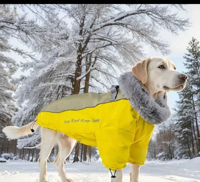 Курточка для собак