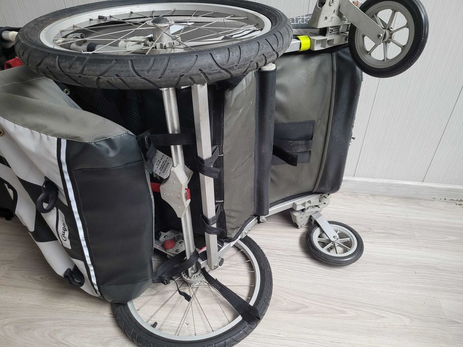 Przyczepka rowerowa dla dzieci Thule Chariot COUGAR