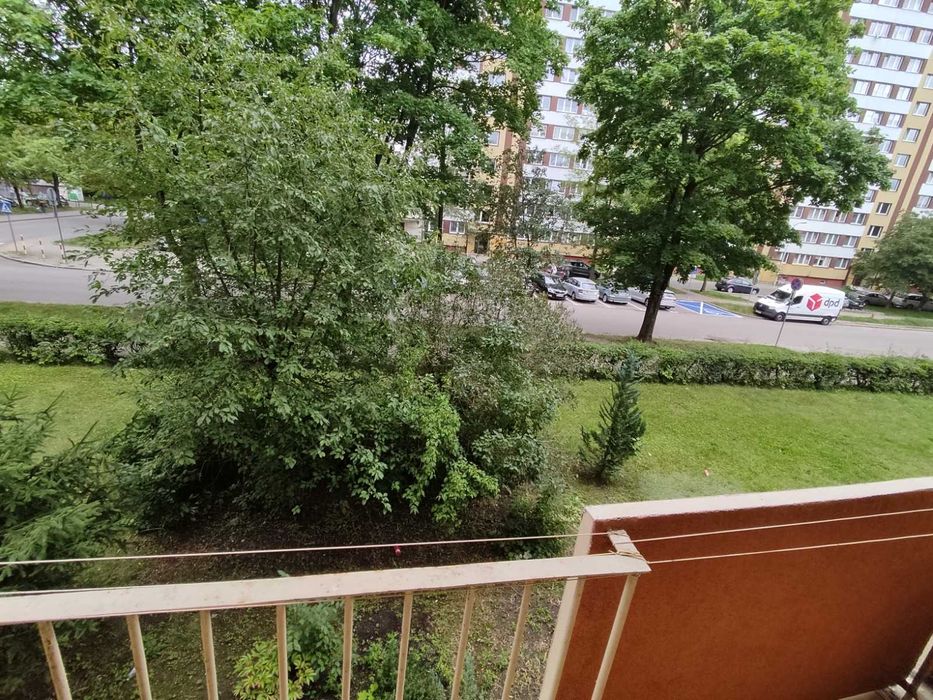Kawalerka na Antoniuku