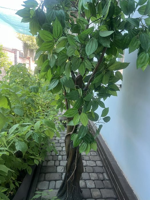 Искуственное дерево