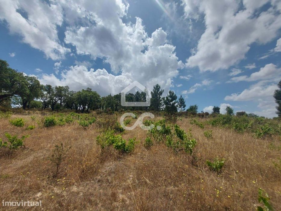 Terreno rústico com cerca de 1,59 hectares | Cabeção (Mora)
