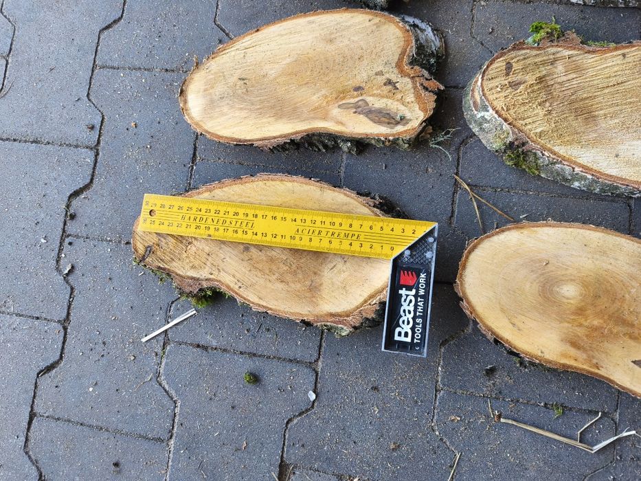 Plastry brzozy, nieregularne kształty baza na ozdoby