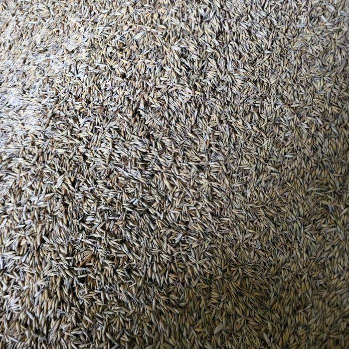 Sprzedam owies w workach 15 kilo