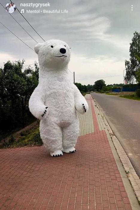 Animacje ANIMATOR dla Dzieci Animatorzy żywa maskotka Animatorki DJ