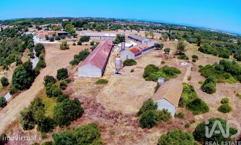 Quinta T3 em Almoster de 2364,00 m2