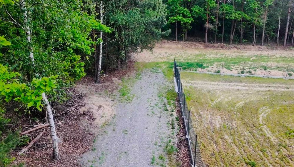 Działka budowlana 11,3 ar | Wola Zarczycka | Las z dwóch stron | Warunki zabudowy - Widok 5