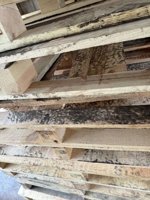 Поддоны в большом количестве продажа от 3 штук