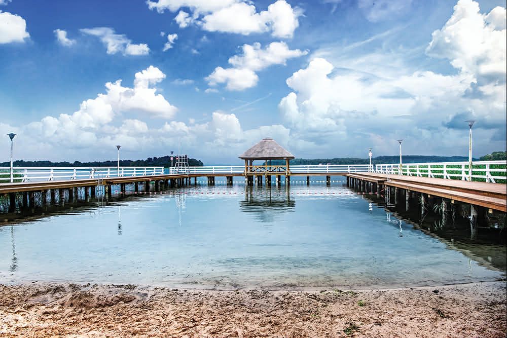 Całoroczny dom na wynajem / Bogaczewo / Narie