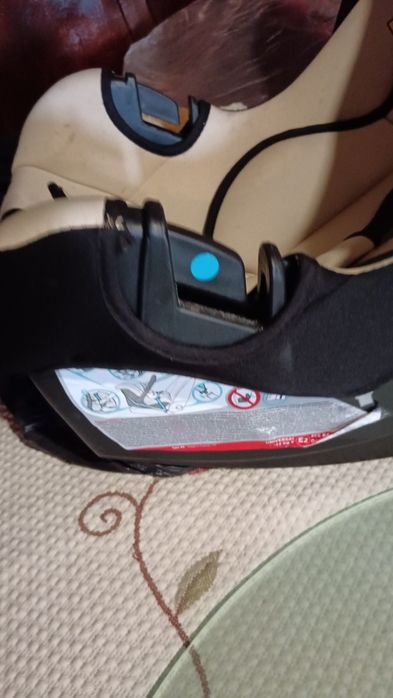 Ovo com carro de passeio