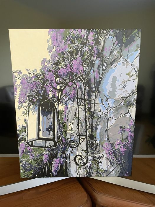 Намальована картина по номерам 40*50