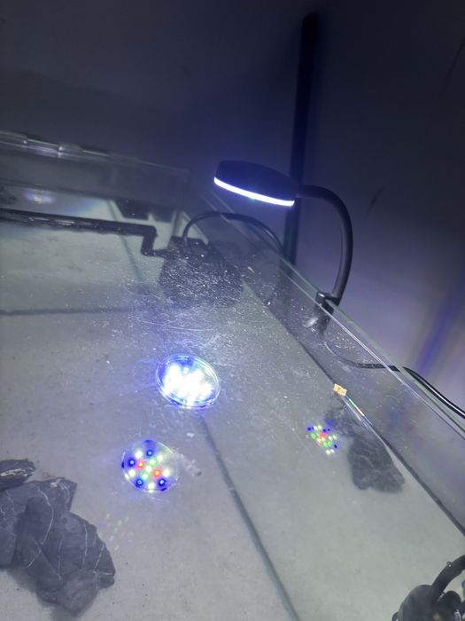 aquario 36 litro  e acessórios