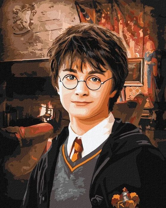 Malowanie po numerach -Harry Potter 40x50cm. Ideyka