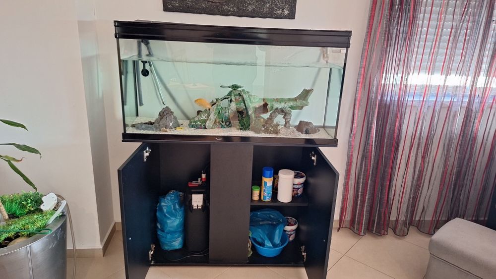 Aquário para tropicais