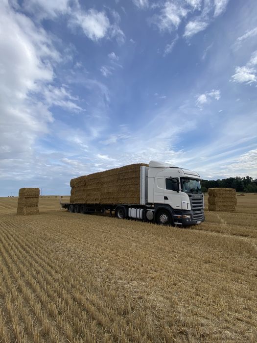 Uslugi Transportowe Krajowe/Lokalne