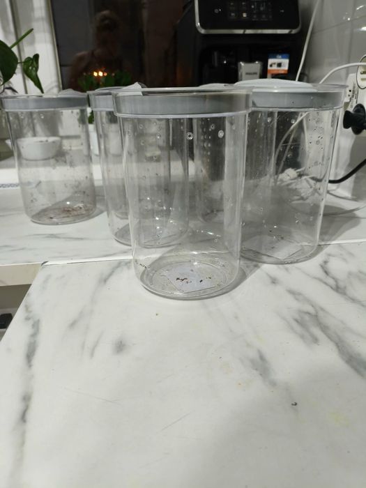 Pojemniki na pajaka, modliszkę, terrarium,box
